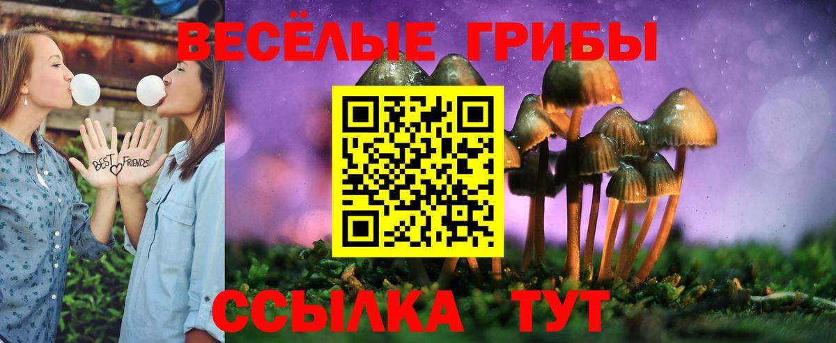 Псилоцибиновые грибы Psilocybine cubensis  Псилоцибиновые грибы ЛСД  Бор  купить   Вход с VPN 